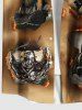 Plus Size Skull Pirate Ship Eagle Fire Flame Ripped 3D Print Buttons Pocket Hawaii Shirt For Men -  