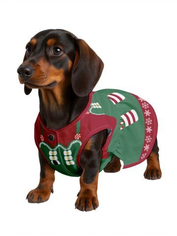 Pet's Christmas Elf Snowflake Candy Print Dress - GREEN - S