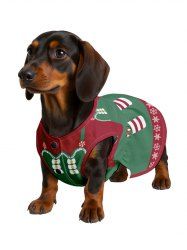 Pet's Christmas Elf Snowflake Candy Print Dress -  
