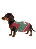 Pet's Christmas Elf Snowflake Candy Print Dress -  
