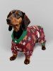 Matching Gingerbread Snowflake Christmas Pajamas Dog And Owner Matching Outfits Sleepwear Set -  