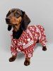 Tenues assorties pour chien et maître avec imprimé sapin de Noël, ours polaire et flocons de neige - Rouge 