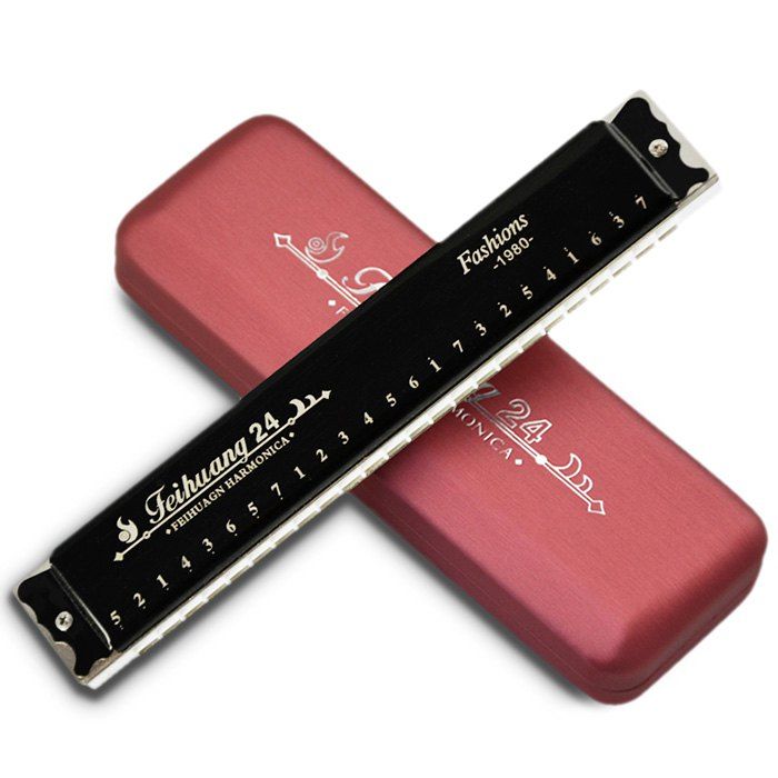 

FEIHUANG F2411 C Key 24 Holes ABS Octave Harmonica Musical Instrument Accessories, Black
