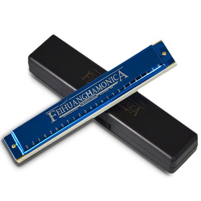 

FEIHUANG F2405 C Key 24 Holes ABS Tremolo Harmonica for Beginner, Blue