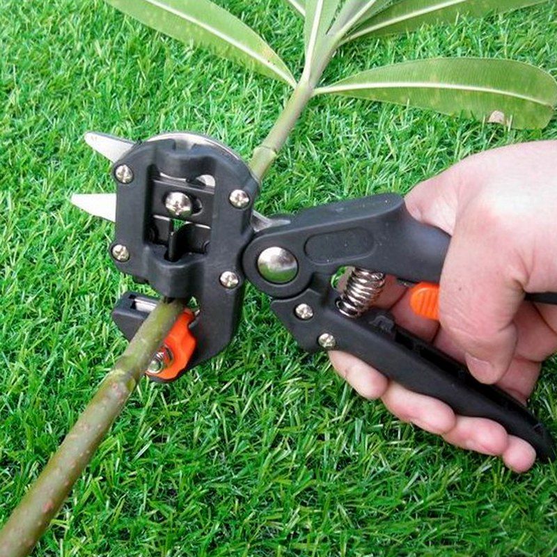 

Gocomma Garden Pruner Fruit Tree Branches Cutting Tool with Extra 2 Blades, Black