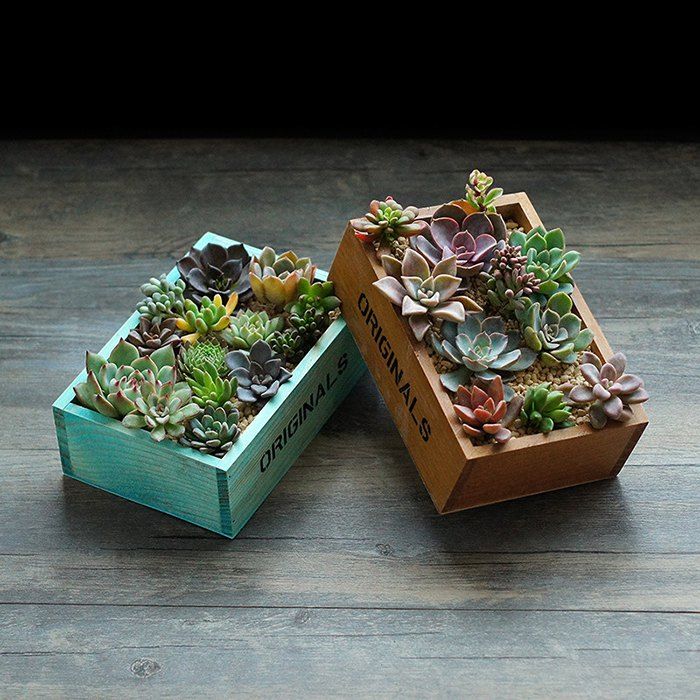 2018 Practical Retro Style Wooden Succulent Plants Square Flower Pot Practical Retro Style Wooden Succulent Plants Square Flower Pot 1pc