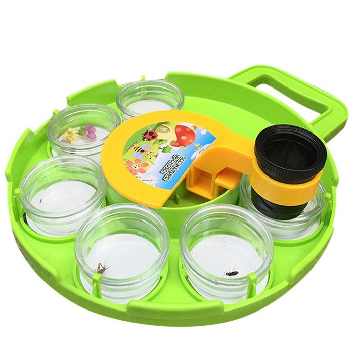 

Educational Animal Plant Specimen Microscope Magnifier Toys for Children, Green apple