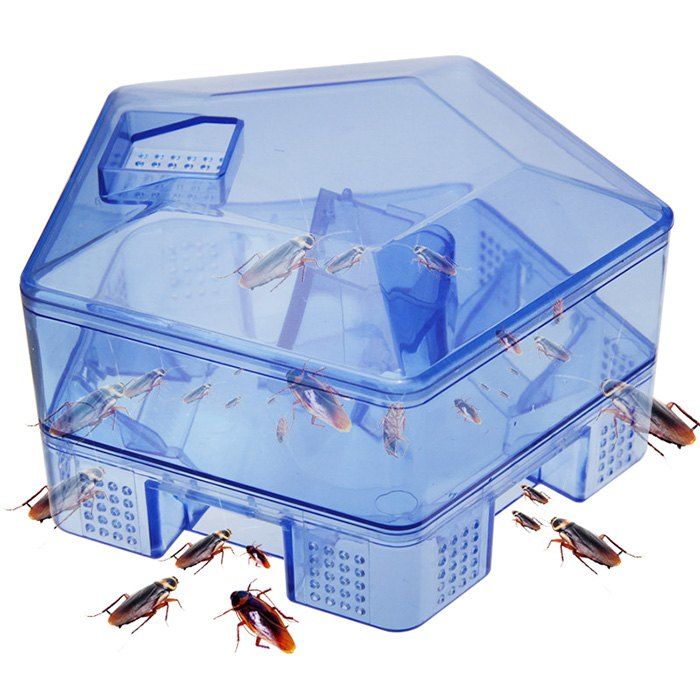 [41% OFF] Cockroach Trapper Safe Efficient Pest Killer Bait Box ...