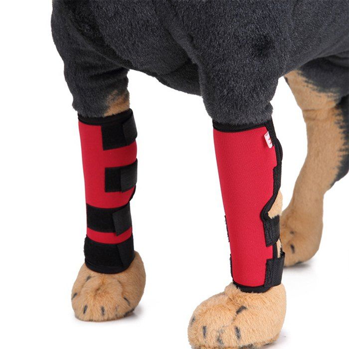 

Fashion Pet Kneelet for Knee, Red