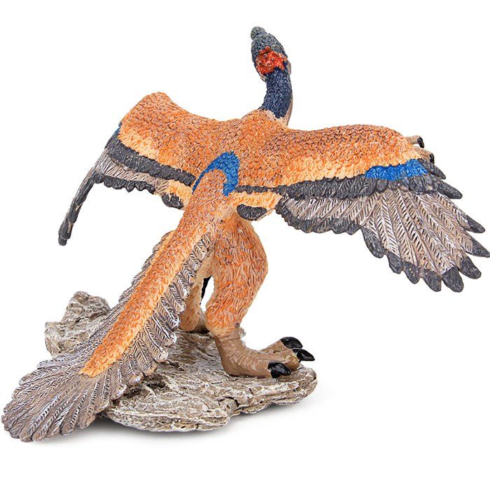 [27 OFF] Ancient Simulation Archaeopteryx Model Toy Rosegal