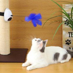 Jouet Pour Chat Electrique A Double Effet De Souris Avec Jouet En Plume Et Laser Rotatif En White Rosegal Com France