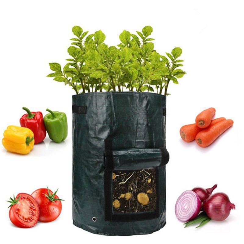 

Potato Planting Vegetable Bag Simple Gardening PE Barrel, Medium sea green