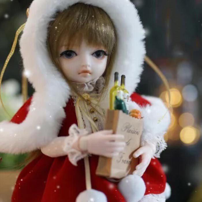 cute bjd dolls