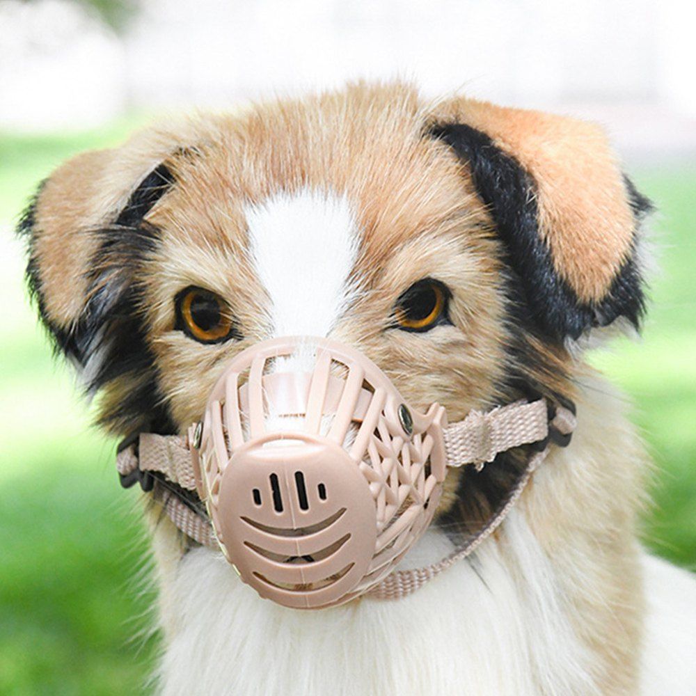 62 Off Plastic Grid Dog Mask Rosegal