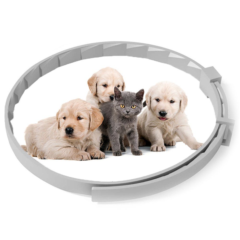 

Pet Dog Flea Repellent Collar Cat Health Supplies Safe Anti-flea Neck Ring, Gray