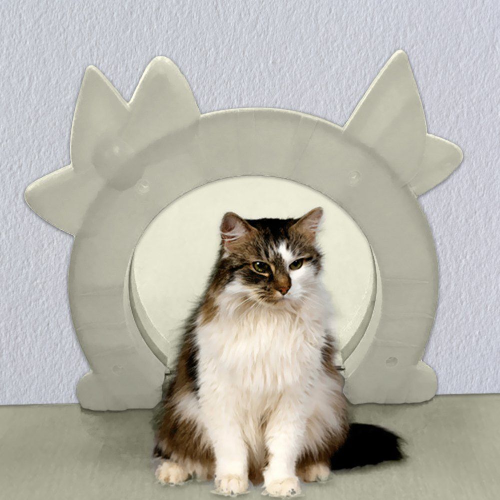 smart cat door