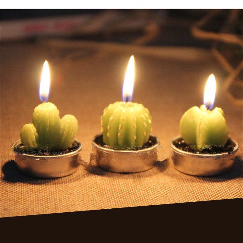

Creative 6PCS Candle Lovely Cactus Polypotted Plant Scented Candles, Green