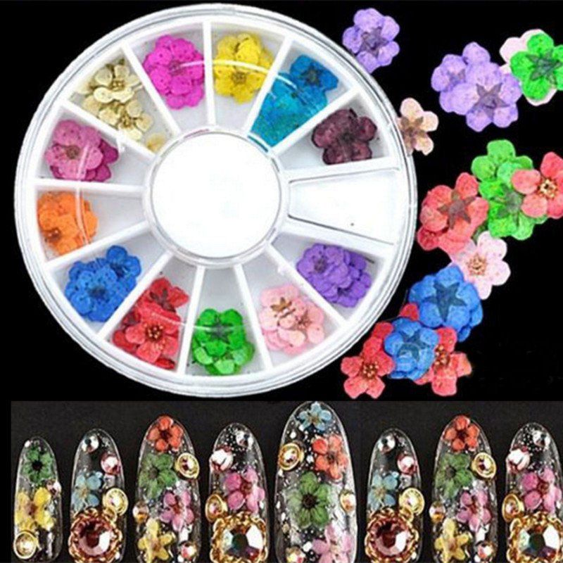 

36PCS Natural Dried Flower Nail Art Decoration, Colormix