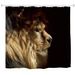 Lion King Water-Proof Polyester 3D Printing Bathroom Shower Curtain -  