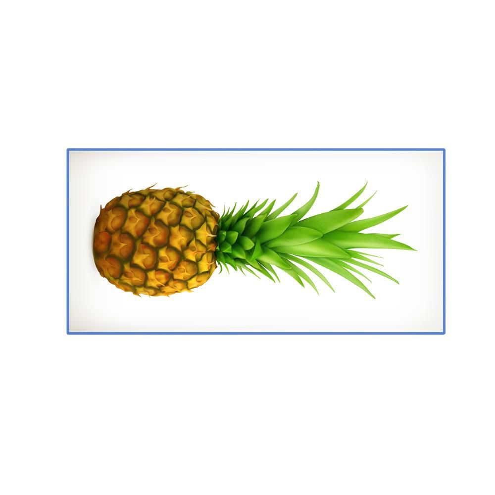 

Pineapple Microfiber Digitally Printed Rectangular Beach Towel, Multi-a