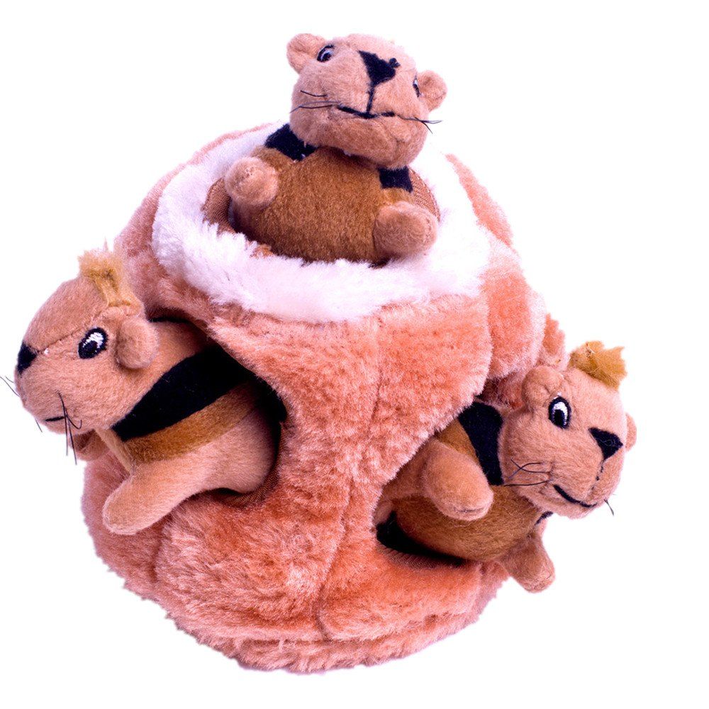 outward hound hide a squirrel squeaky puzzle plush dog toy