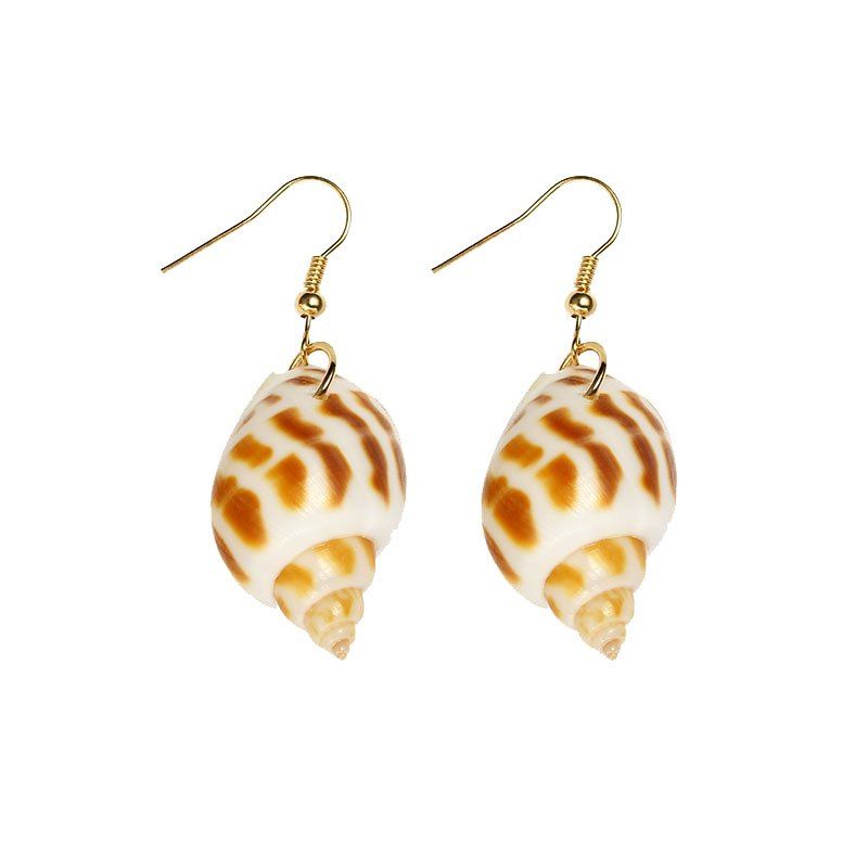 

Popular Natural Conch Earrings, Gold
