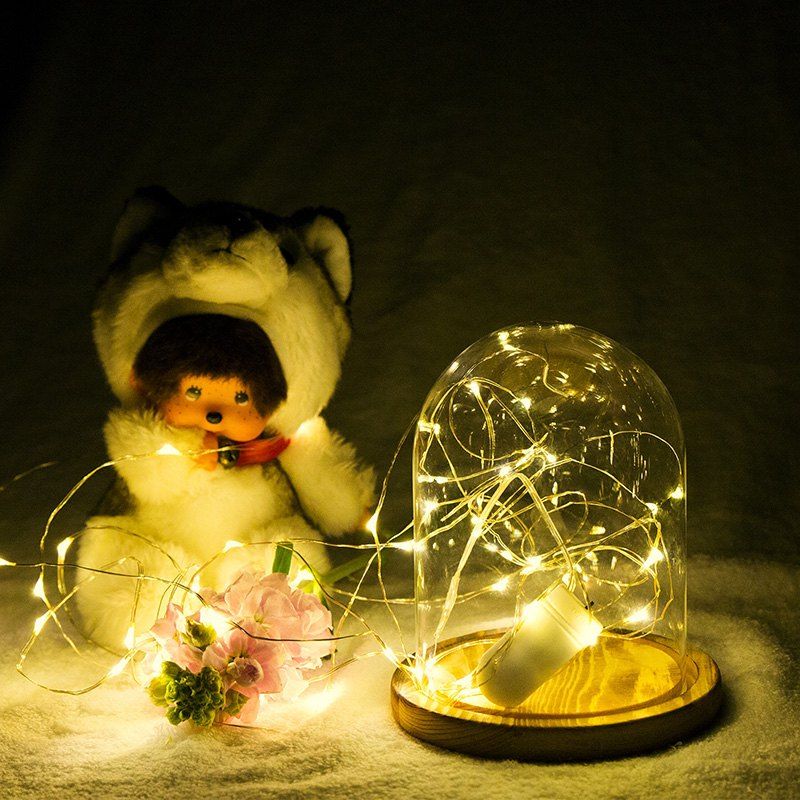 

Button Copper Light Silver Wire Christmas String Led 1M, Warm white