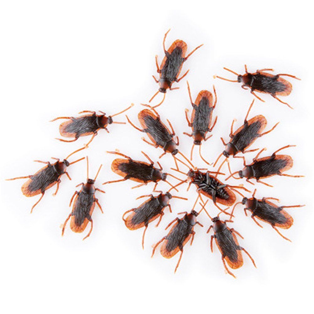 

15PCS Simulation of Cockroaches Halloween Prank Toys, Brown