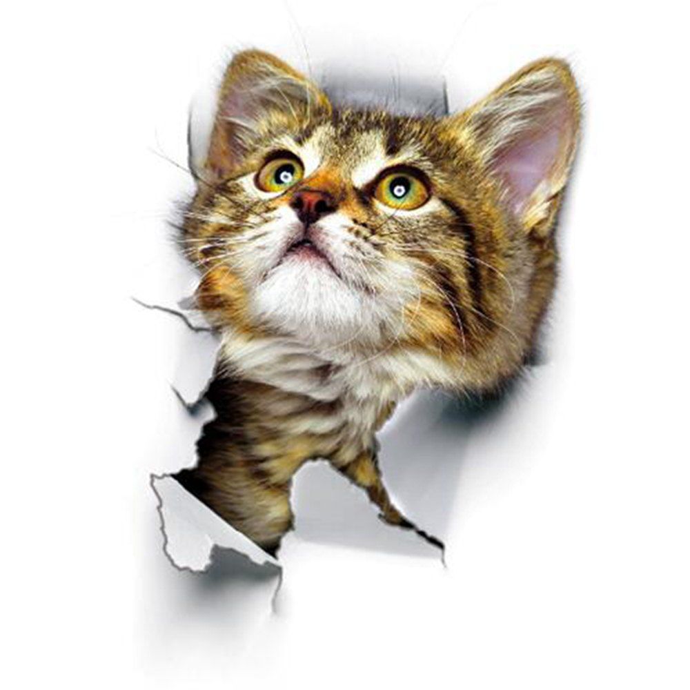 

3D Cats Wall Sticker Hole View Bathroom Living Room Decoration Home Decor, Multi-a