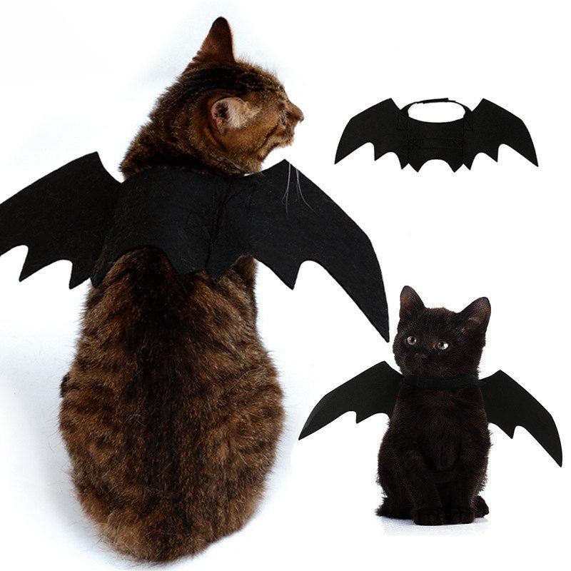 

Costume Halloween Pet Bat Wings Cat Bat Costume, Black