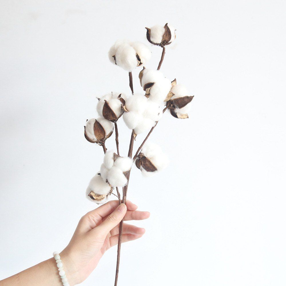 

Dried Cotton Stems Farmhouse Style Artificial Flower Filler, White;ivory