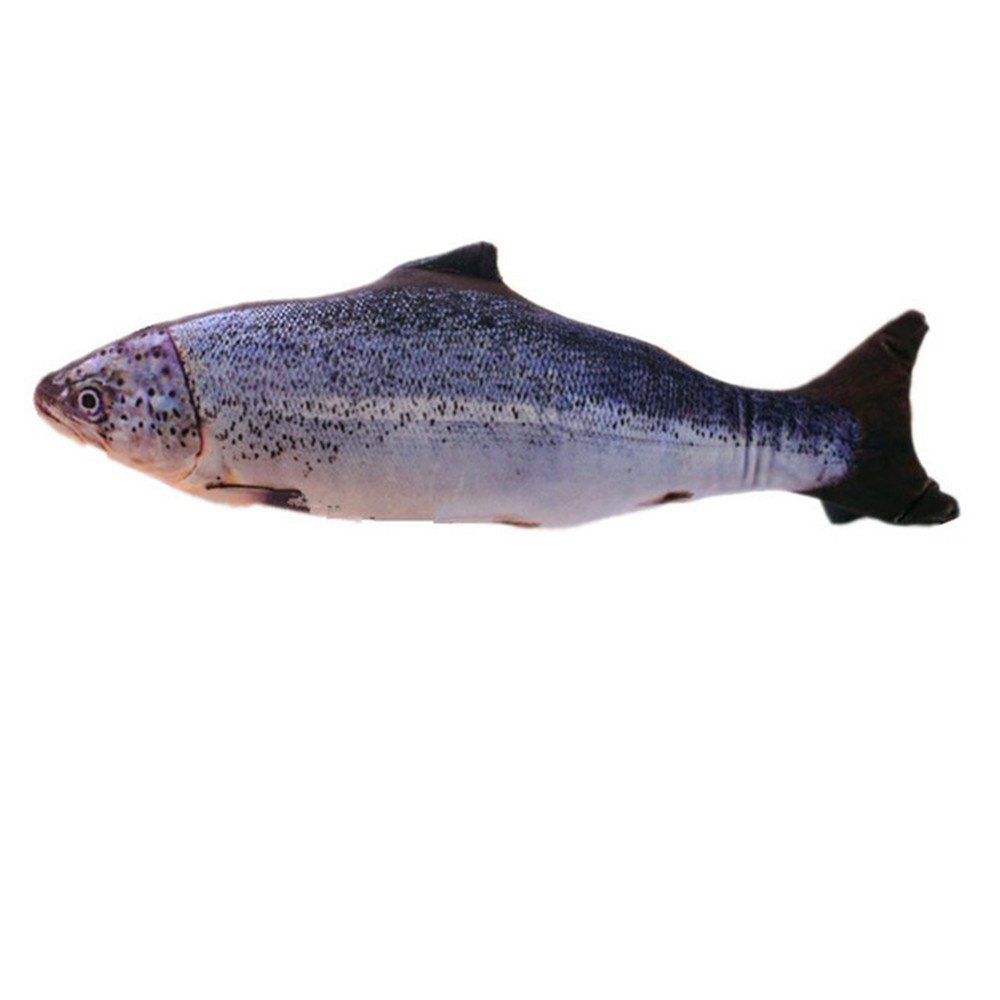 

Funny Lifelike Fish Shape Cat Toy Gift Cute For Pet Kitten Teaser Pillow Doll, Multi-c