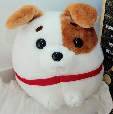 jack russell peluche