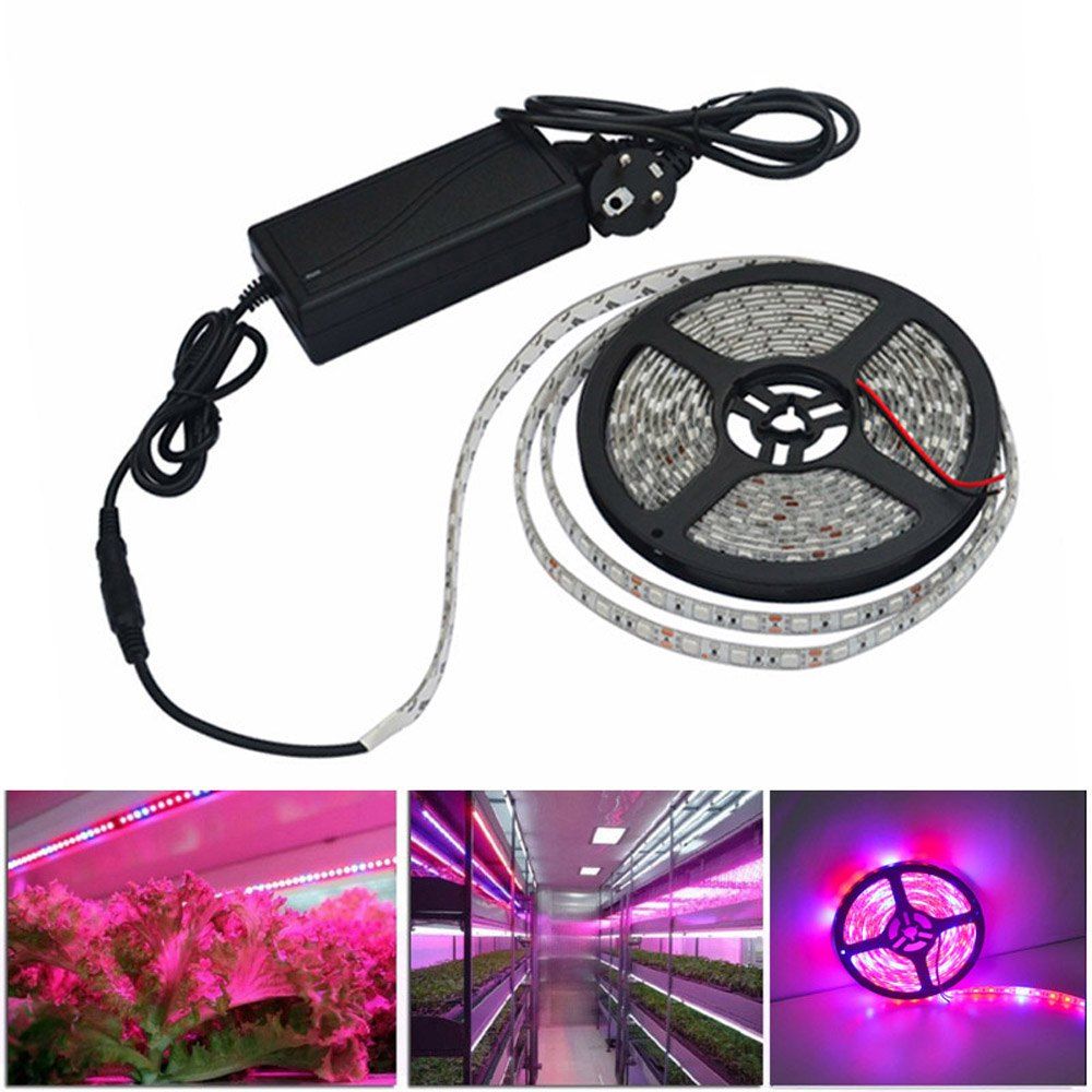 

LED Grow Lights Growing LED light Strip 5050 IP65 Plant Growth Light for Greenhouse Hydroponic plant 5m/lot AC100-240V, Red and blue light